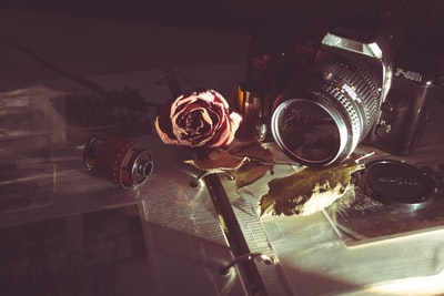 MILC摄像头旁边的红玫瑰
